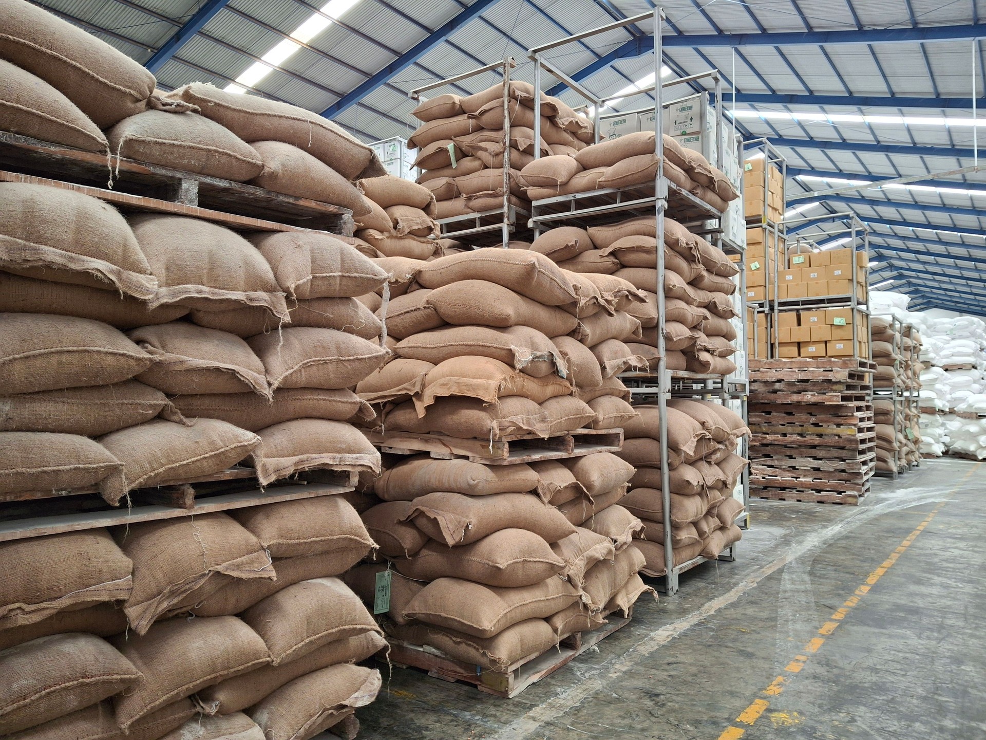 food warehouse, piles of sacks containing food ingredients arranged on pallets in the raw material warehouse area, raw material warehouse in a food factory